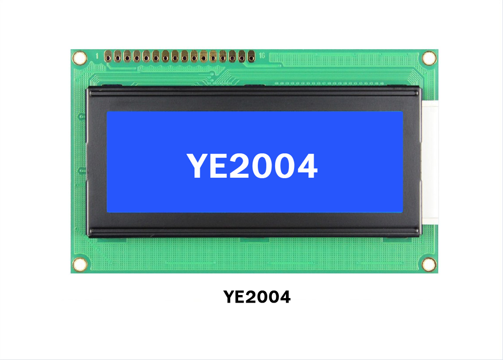 YE2004