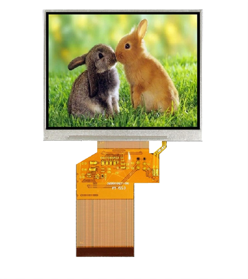 51.png